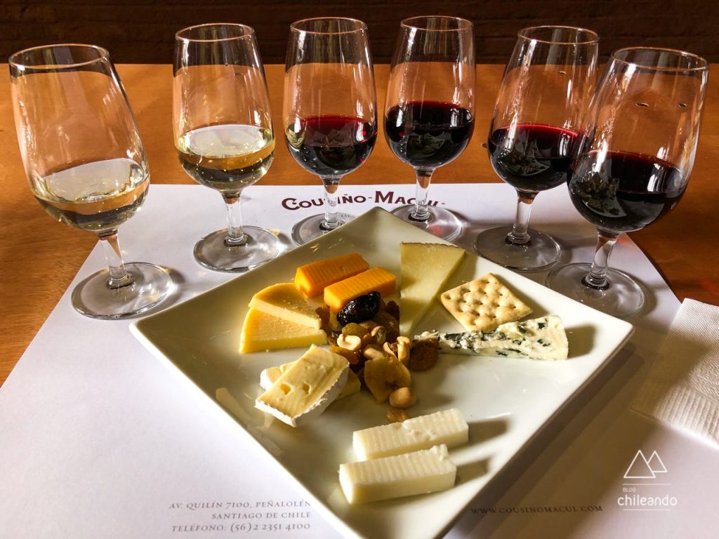 Tour e degustação harmonizada com queijos na vinícola Cousino Macul, em Santiago