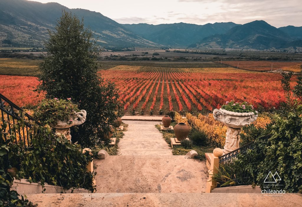 Fim de tarde na vinícola Santa Cruz, um destino romântico no Chile