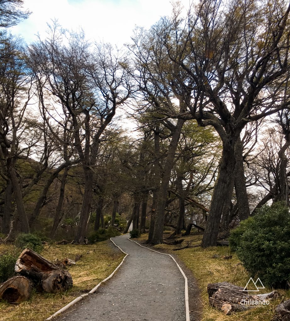 Trilha próxima ao lago Grey
