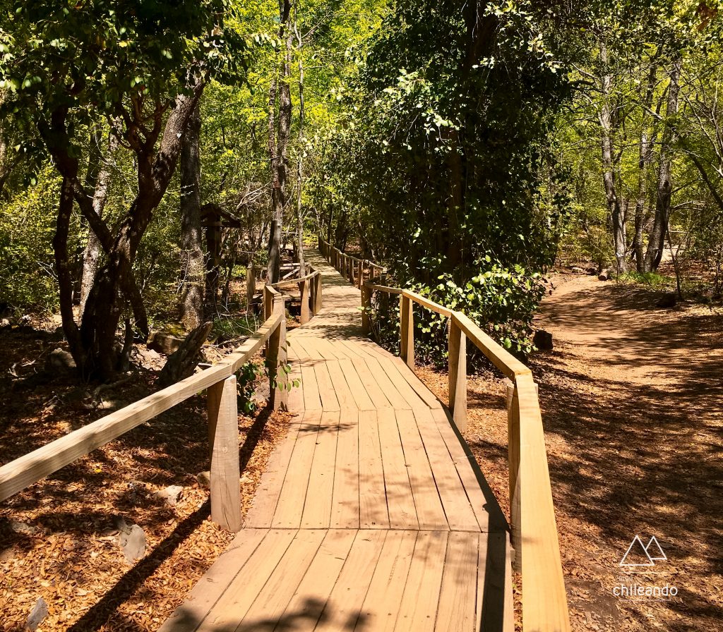 Trilha para pessoas com dificuldade de locomoção no Siete Tazas
