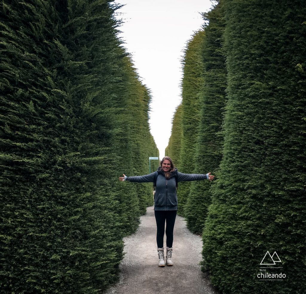 Passeando no cemitério mais legal que já conheci, em Punta Arenas