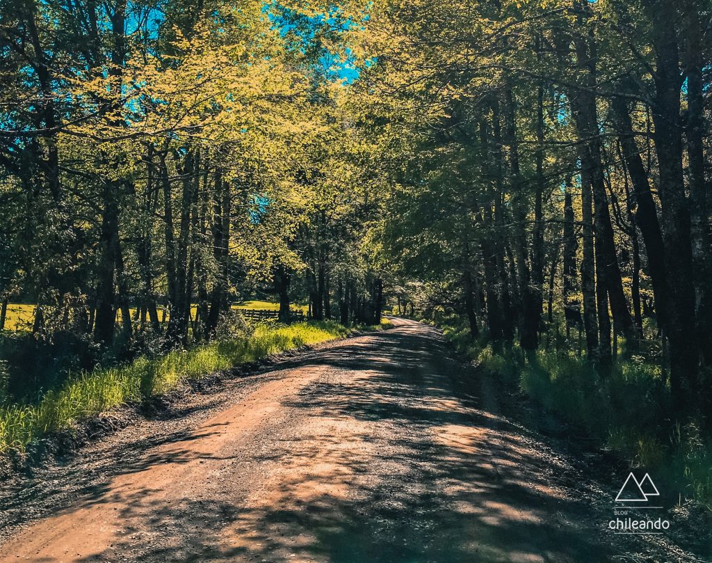 Via de acesso Victoria - Curacautín