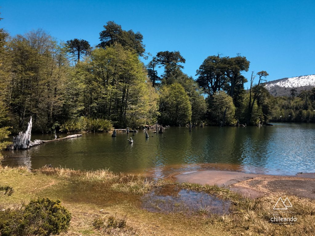 Lagoa Captren no Parque Conguillío