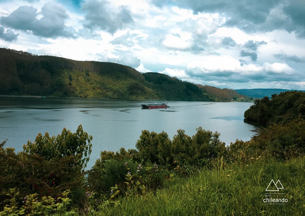 O rio Valdivia é um dos poucos navegáveis do Chile e desemboca no Pacífico
