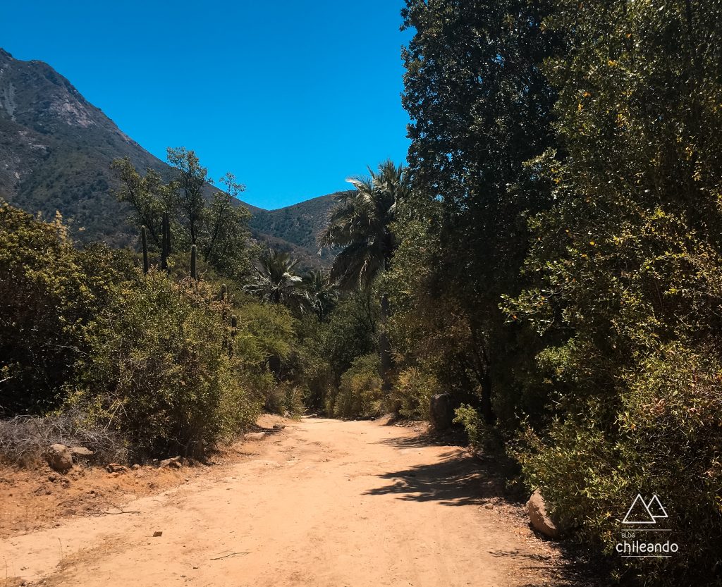 Trilha até a cachoeira