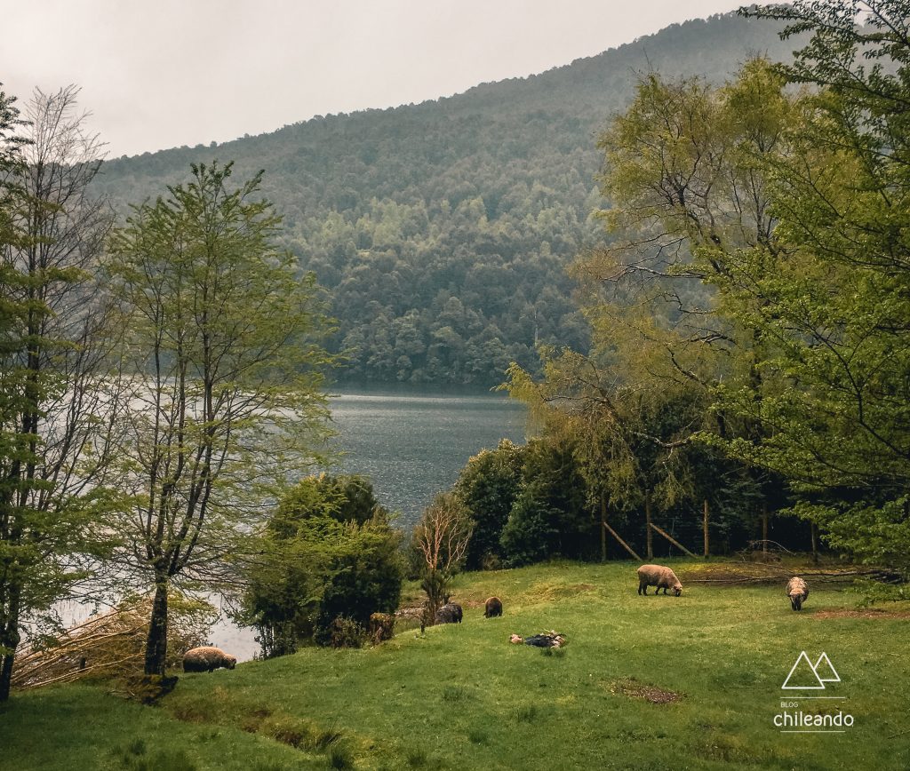 Final da trilha Ñirrico