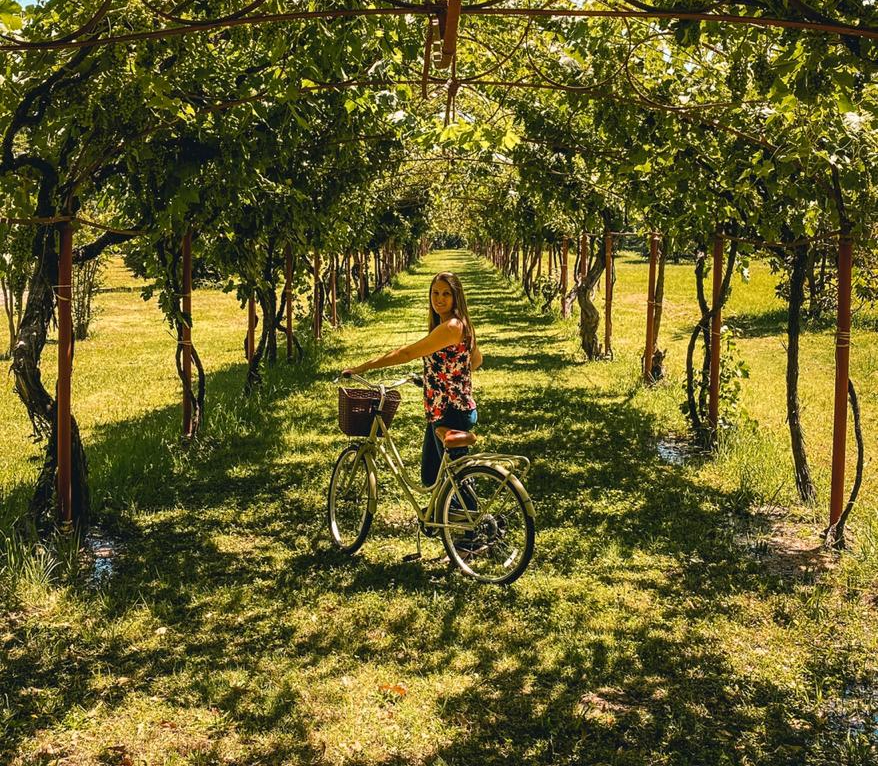 Tour de bike na vinícola Cousino Macul em Santiag