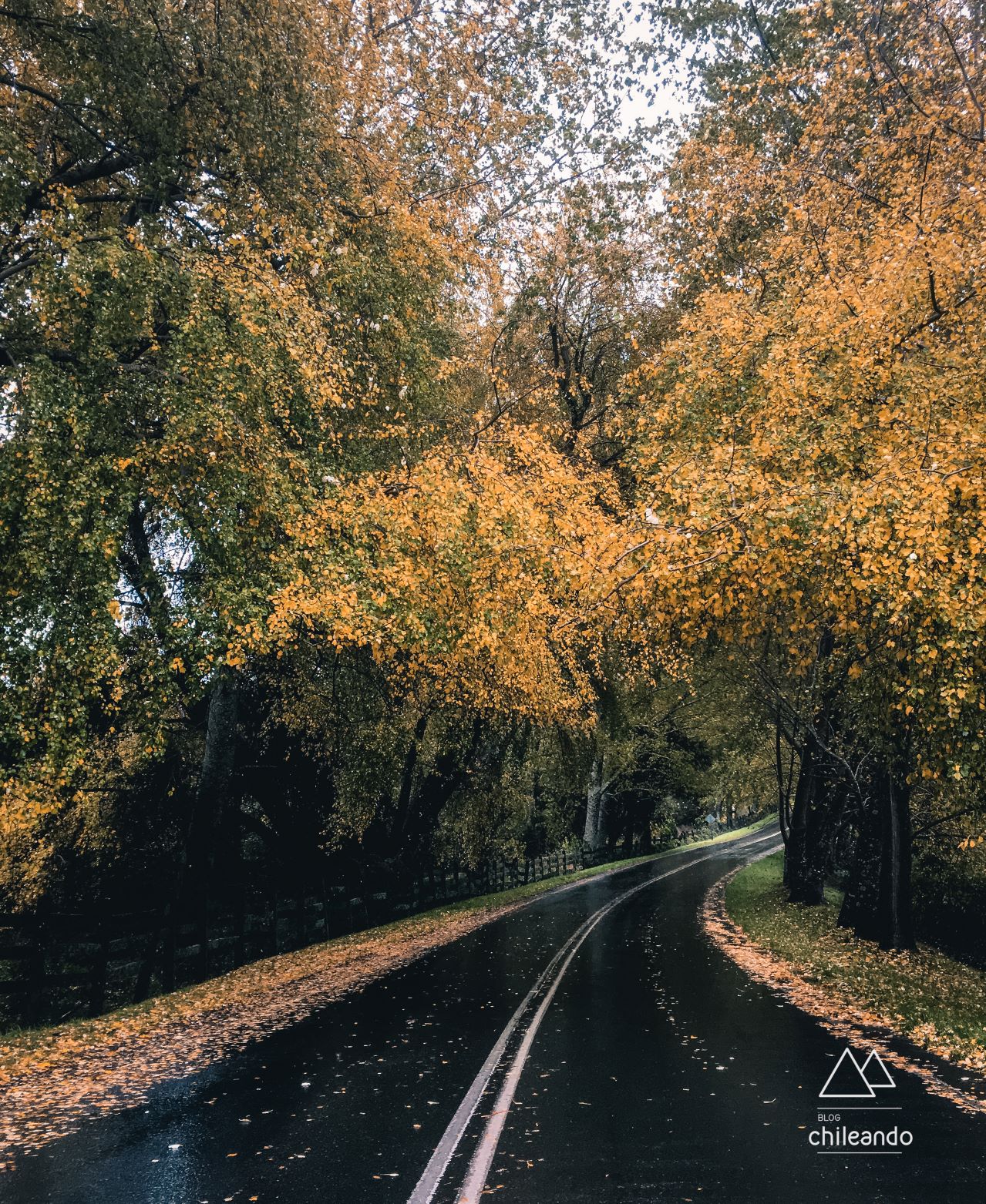Estradas espetaculares circundam o lago Llanquihue