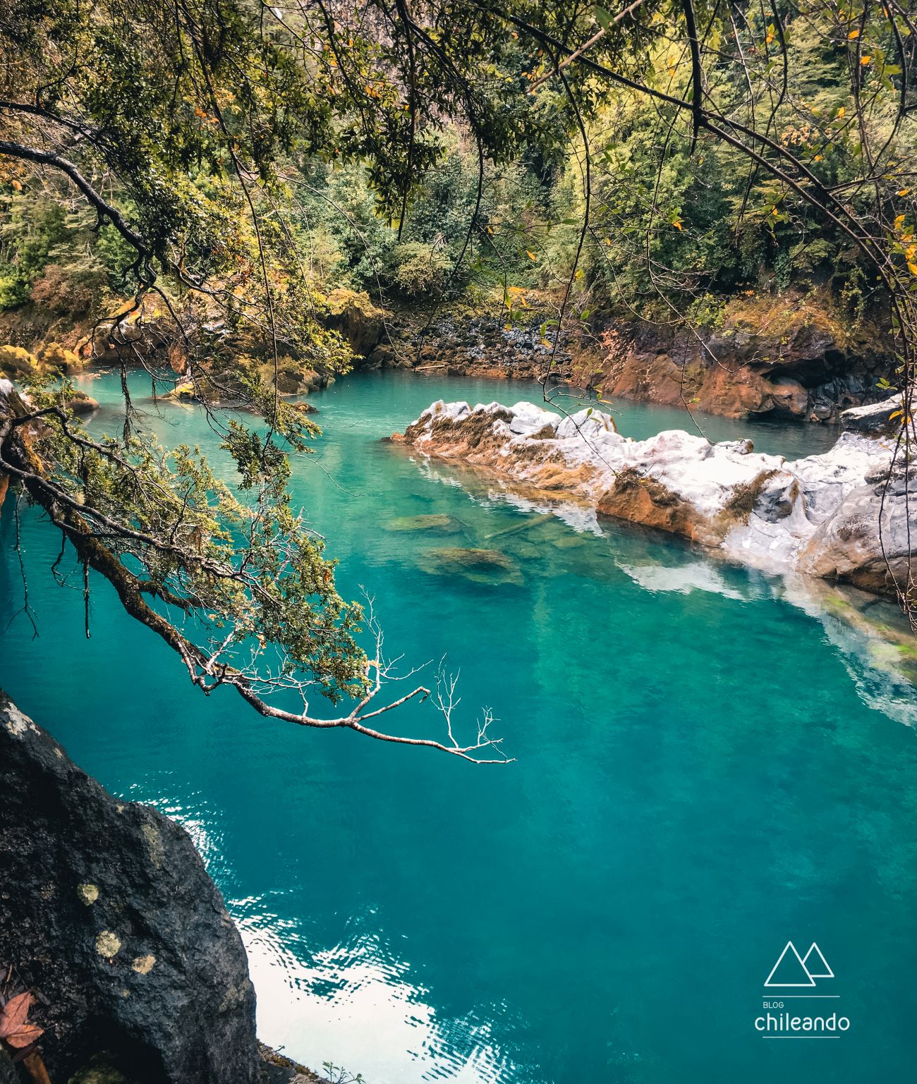 Vista da trilha Huilo Huilo