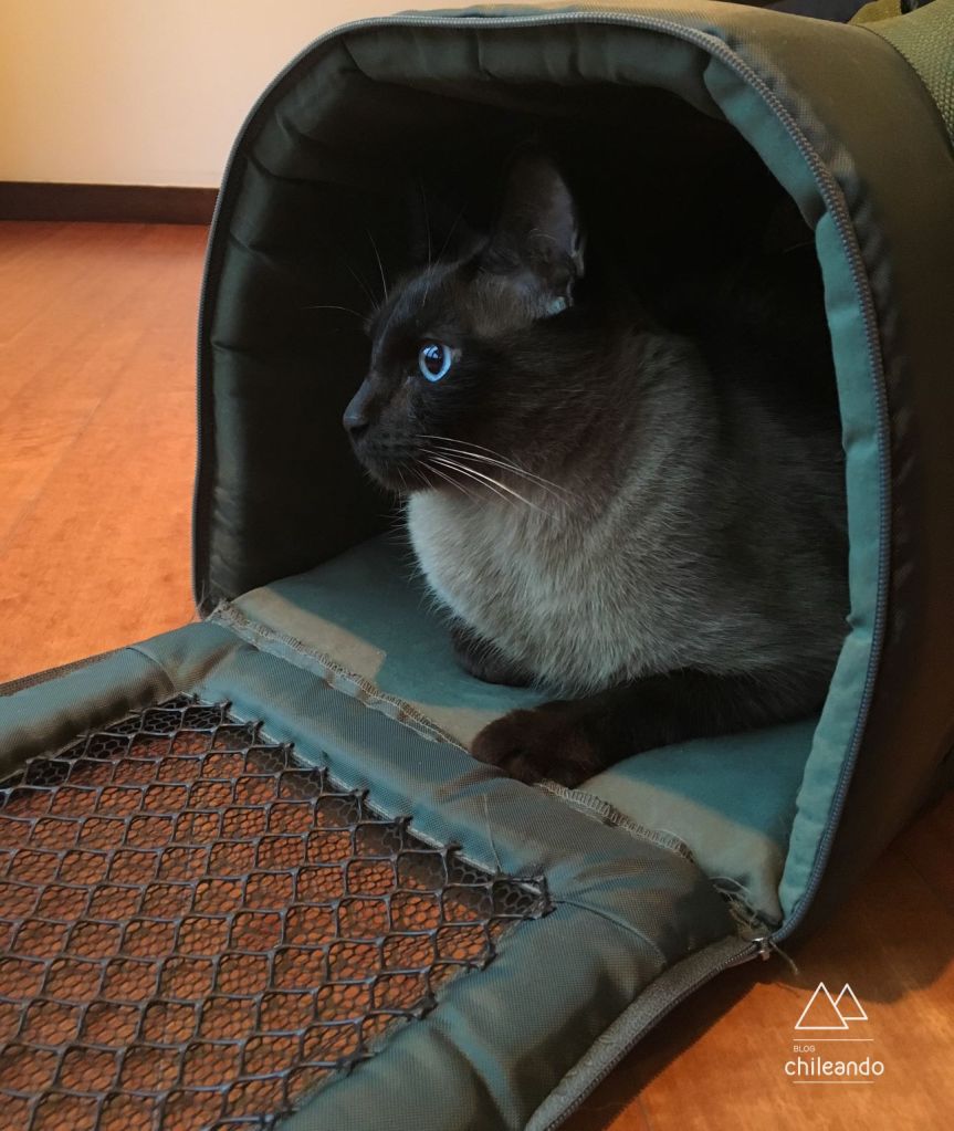 Compramos uma caixa de transporte flexível para o voo