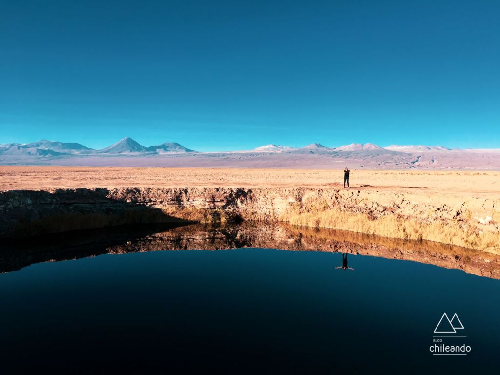 Os Ojos del Salar são cenotes de água de doce, no Atacama