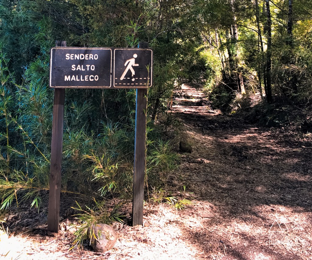 Início da trilha para a cachoeira Malleco, no Parque Tolluaca