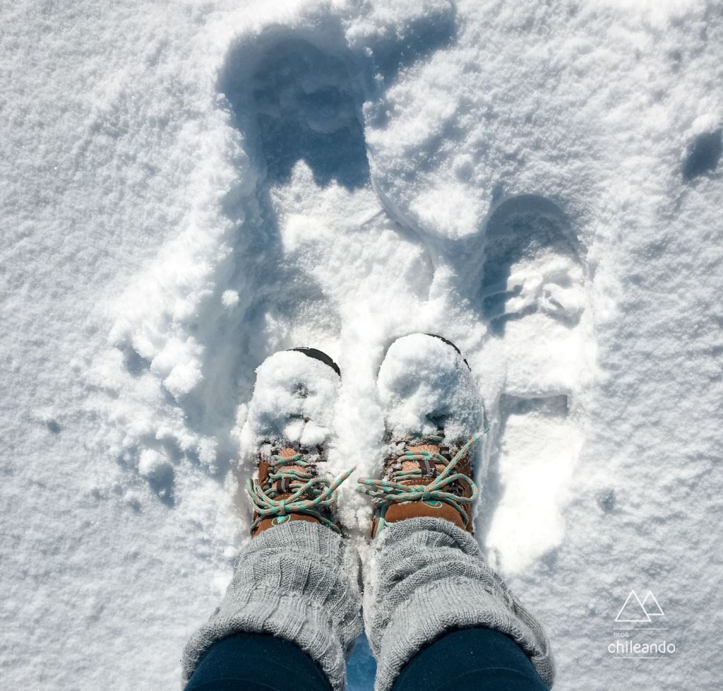 Um dia cheio de neve!