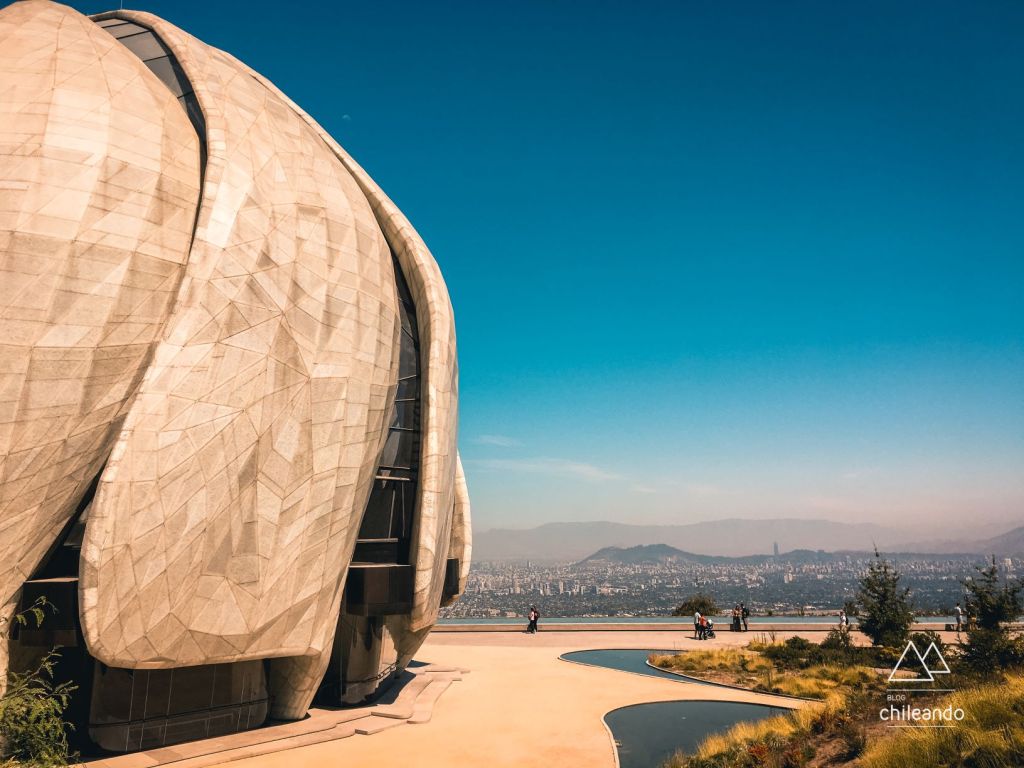 A flor de 9 pétalas e 30 metros de altura