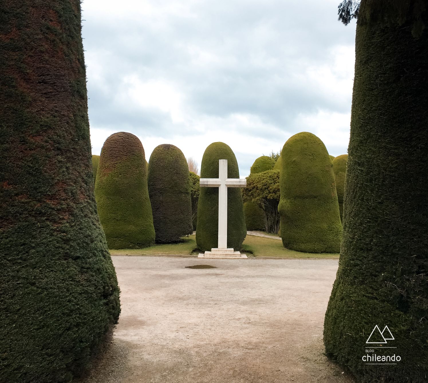 Ciprestes do cemitério de Punta Arenas
