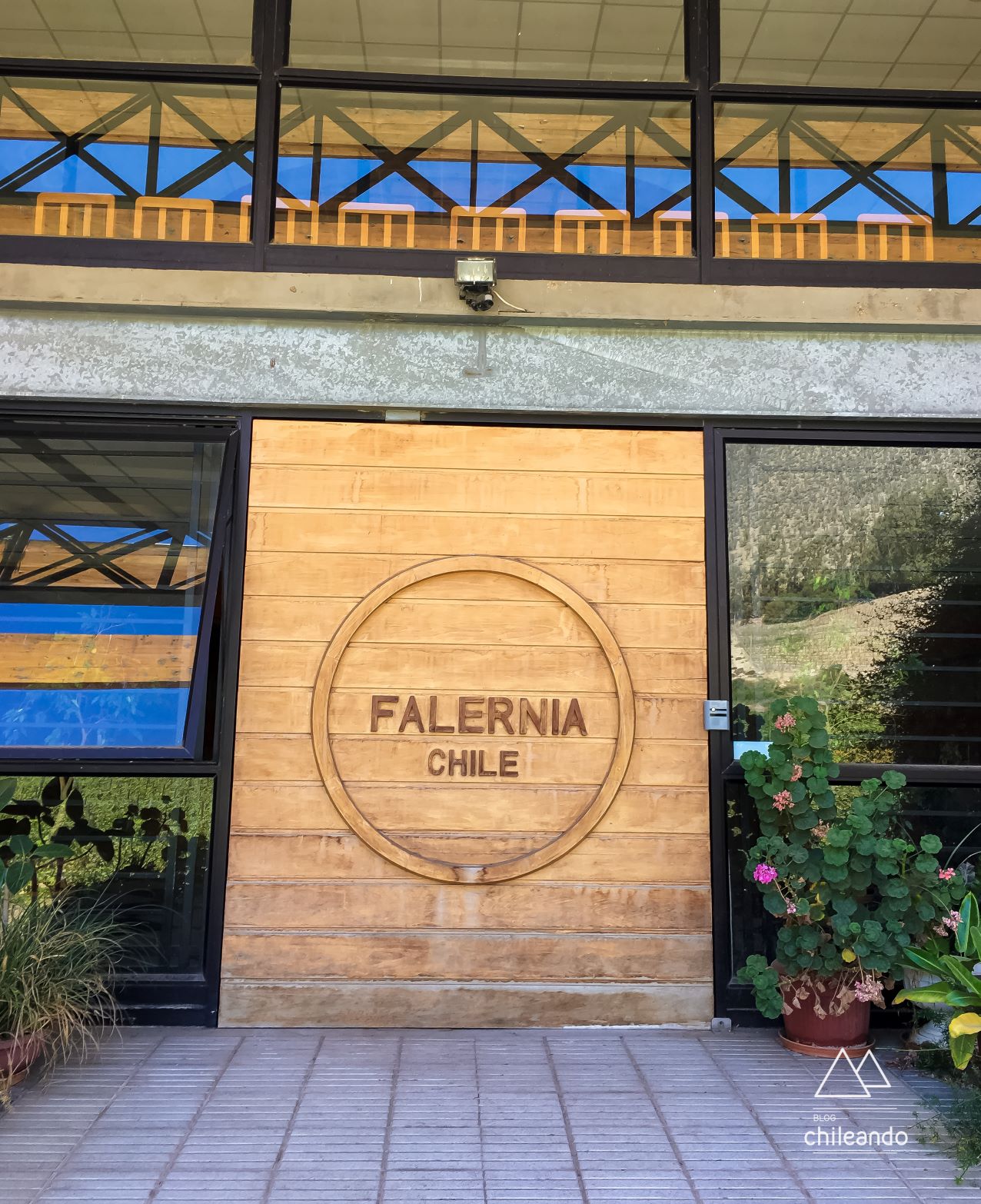 Visitas à vinícola Falernia apenas aos fins de semana