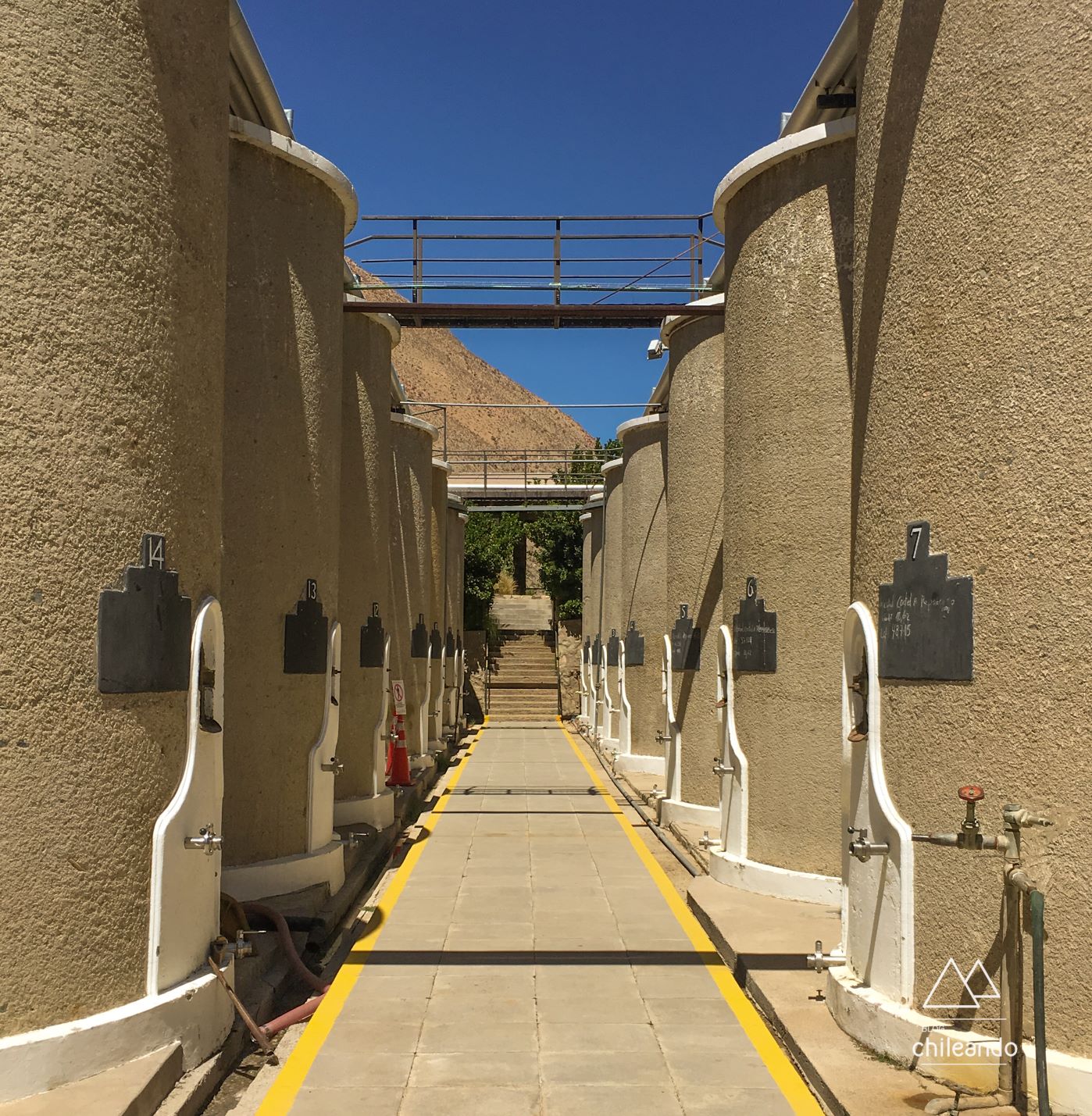 Visita à destilaria Mistral, em Pisco Elqui