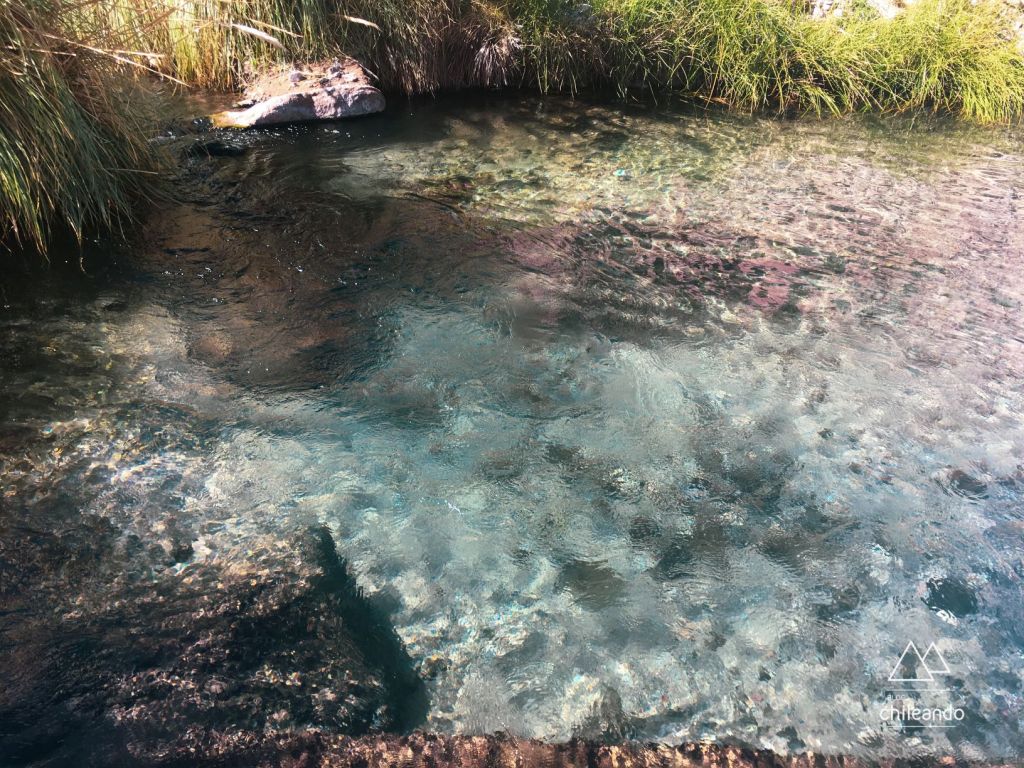 A água cristalina das Termas de Puritama