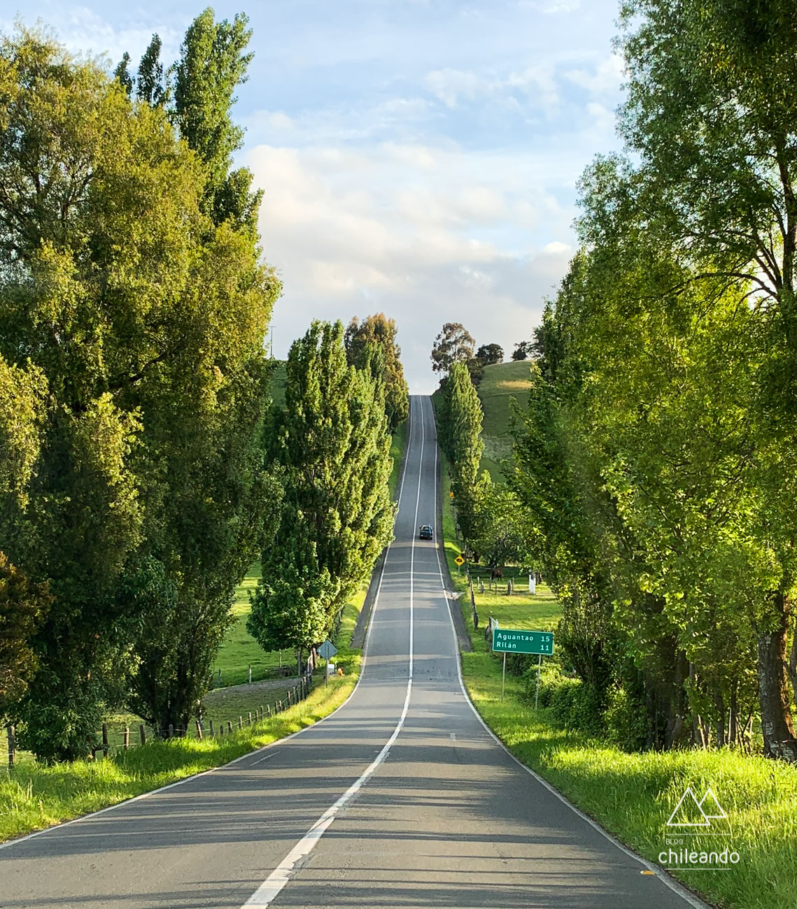 Estradas lindas e muito verdes em Chiloé