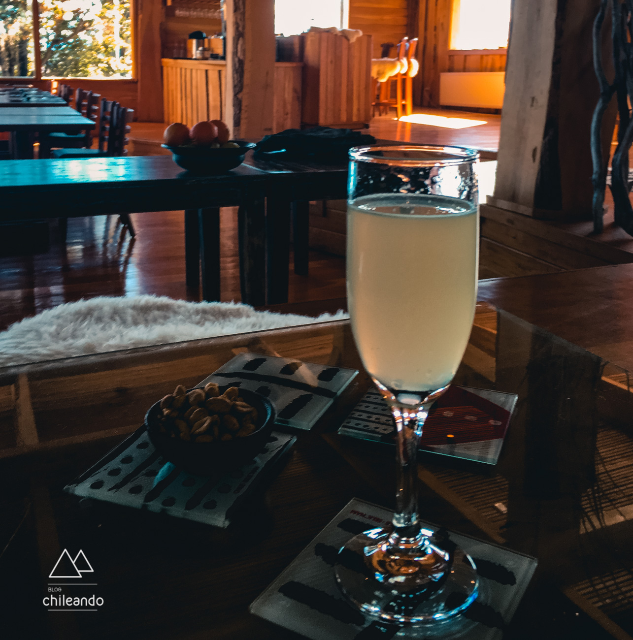 Pisco sour típico chileno