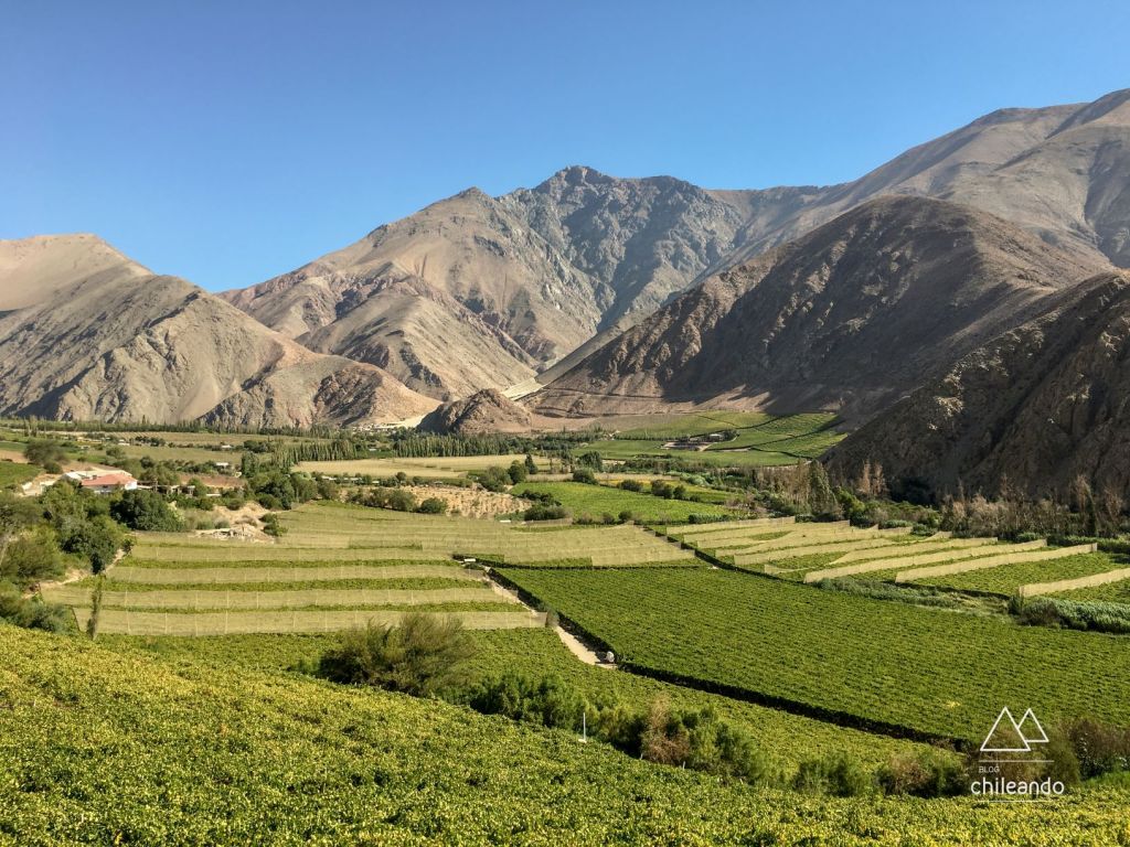 Região produtora de pisco (destilado da uva)
