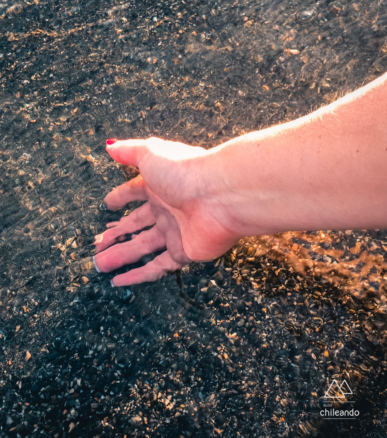 A água transparente do lago Ranco