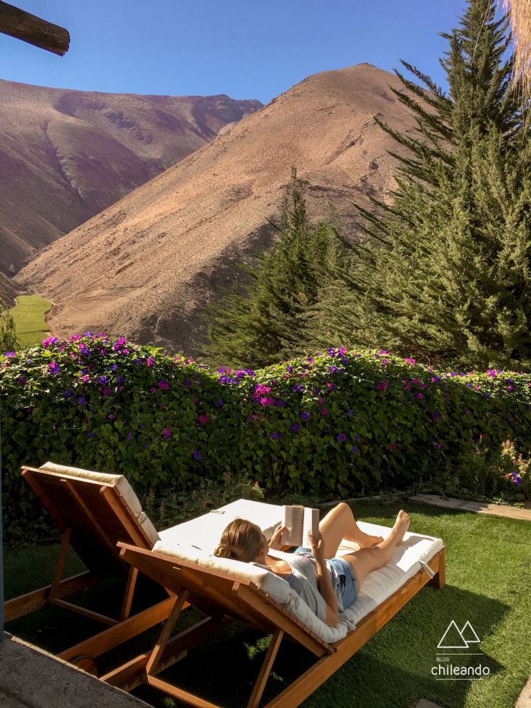 Quintal da cabana 7, em Pisco Elqui